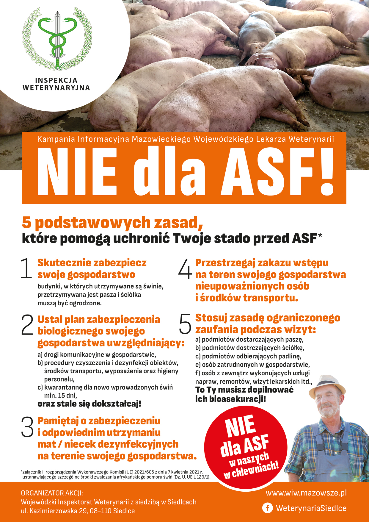 Plakat dotyczący ASF
